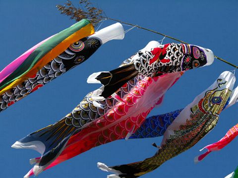 copyright Tim Huggins, used by permission - Koi Nobori