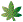 green maple leaf