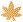 yellow maple leaf